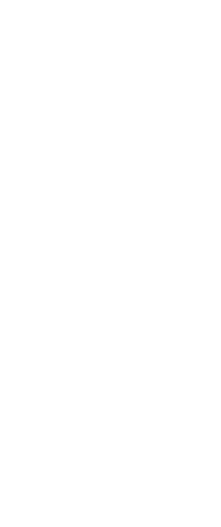cobweb_02